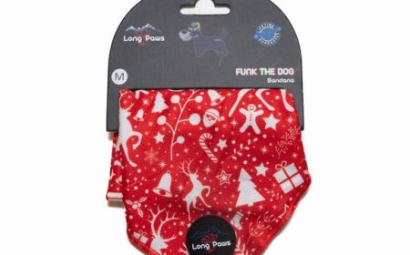 Long Paws UK: Stylish, Durable & Comfortable Dog Essentials