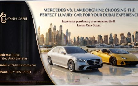 Mercedes vs. Lamborghini: Choosing the Perfect Luxury Car for Your Dubai Experience