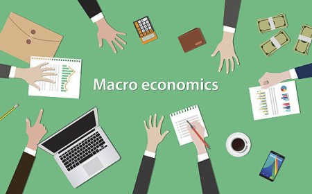 Labor Economics Dissertation Guide Research to Write