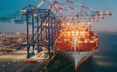 Sea Freight Services Dubai & Cargo Service to GCC – Reliable Shipping Solutions