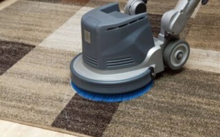 Carpet Cleaning Services Supporting Clean and Organized Living Spaces