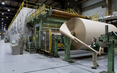 Cost of Setting Up a Recycled Paper Manufacturing Plant 2026: Demand Analysis and ROI
