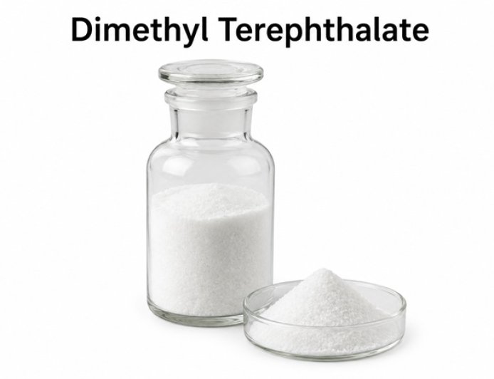 DMT Price Trend: Market Movement, Demand, and Key Factors in Q1 2026