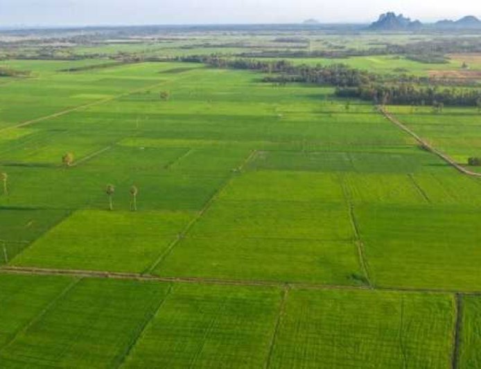 Why Buying Land at KNS Samooha Can Benefit Long-Term Investors