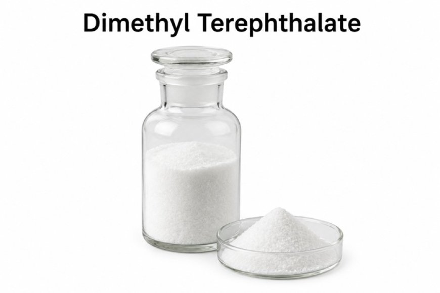 DMT Price Trend: Market Movement, Demand, and Key Factors in Q1 2026