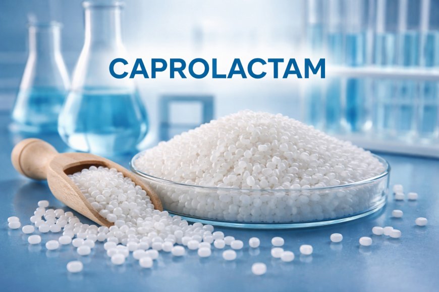 Caprolactam Price Trend: A Simple Guide to Market Changes, Prices, and Industry Outlook
