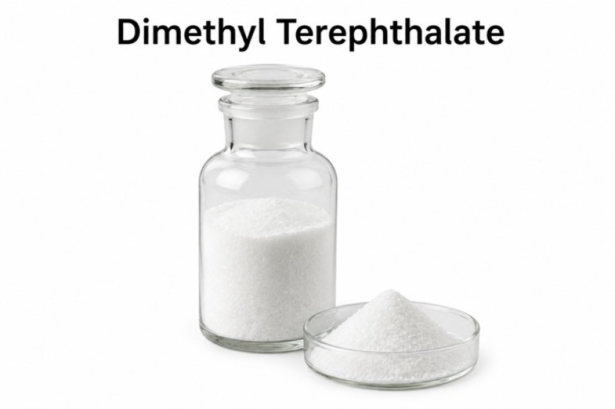 DMT Price Trend: Market Movement, Demand, and Key Factors in Q1 2026