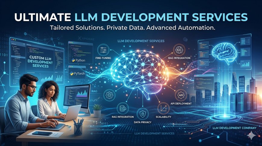 Custom LLM Development Services: What the Process Actually Looks Like