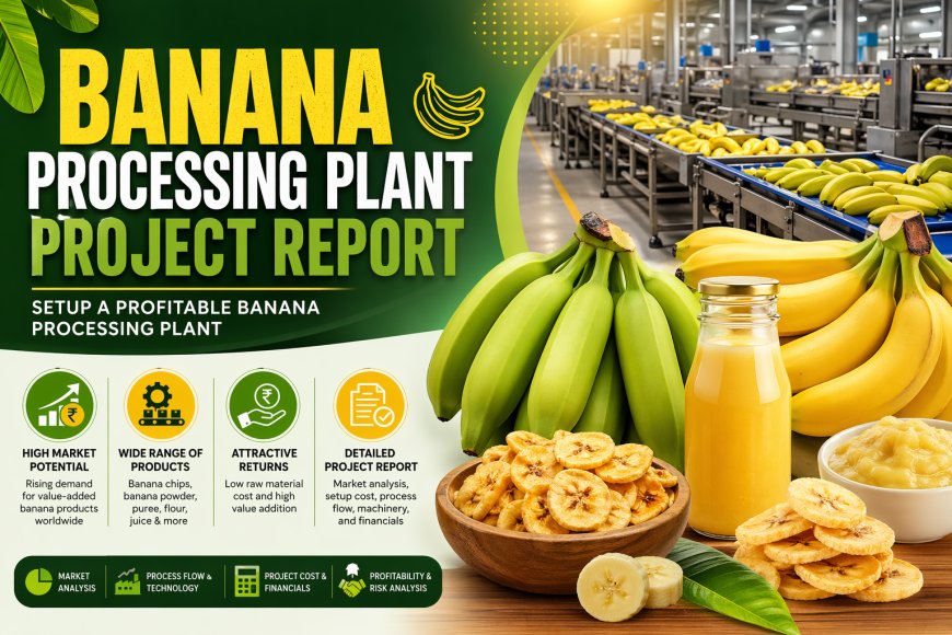 Banana Processing Plant Report 2026: Detailed Report, Industry Overview and Feasibility Study