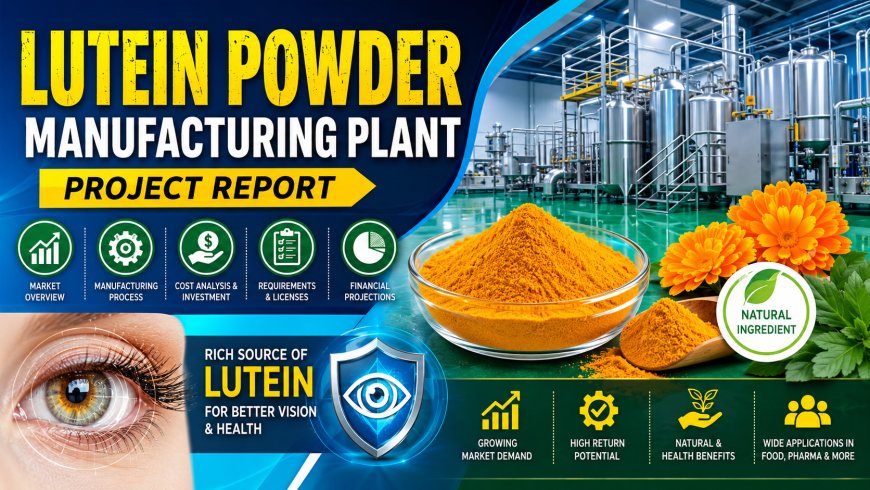 Lutein Powder (From Marigold Flowers) Manufacturing Cost 2026: Raw Materials, Revenue & Profitability