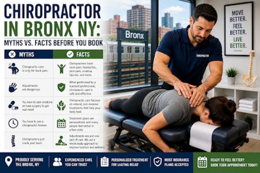 Chiropractor in Bronx, NY | Personalized Pain Relief & Spinal Health Care