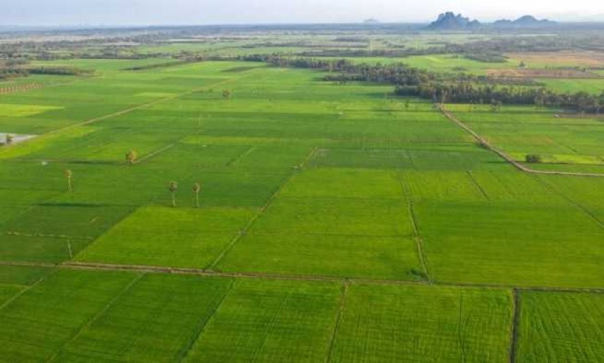 Why Buying Land at KNS Samooha Can Benefit Long-Term Investors