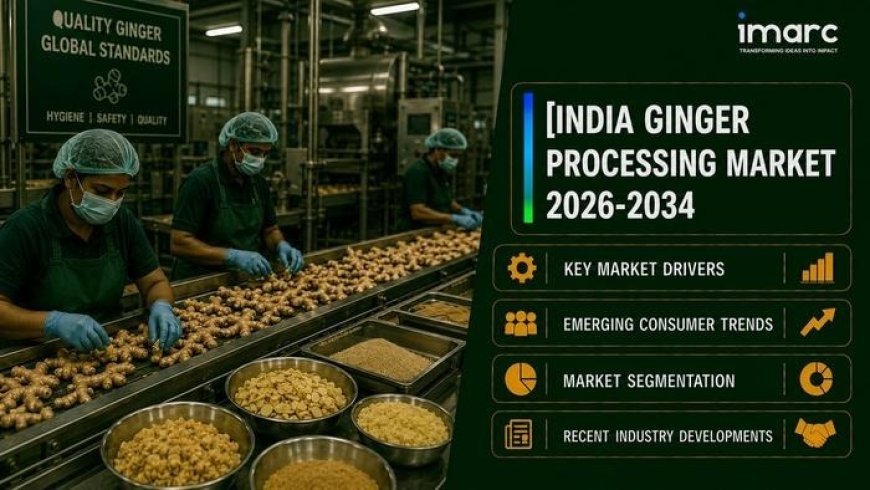 India Ginger Processing Market 2026-2034: Size, Share, Industry Growth and Analysis Report