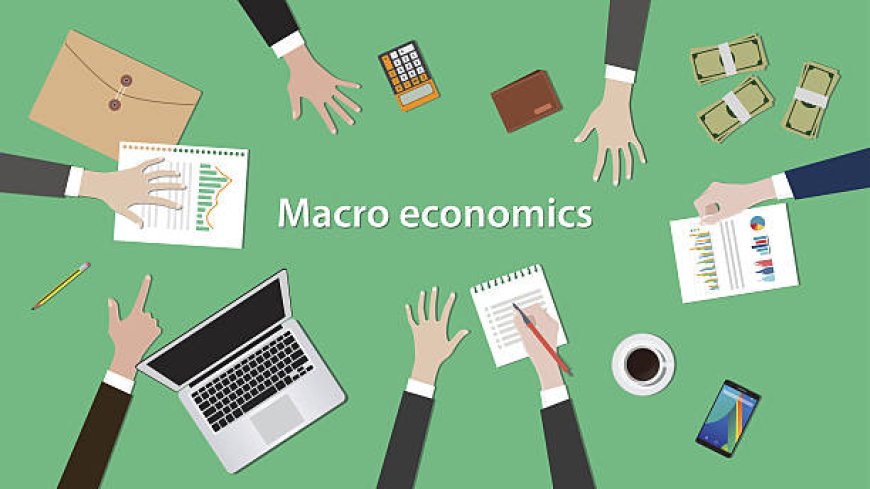 Labor Economics Dissertation Guide Research to Write