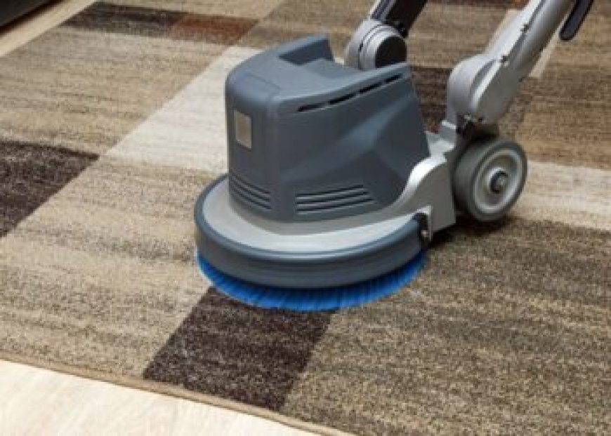 Carpet Cleaning Services Supporting Clean and Organized Living Spaces