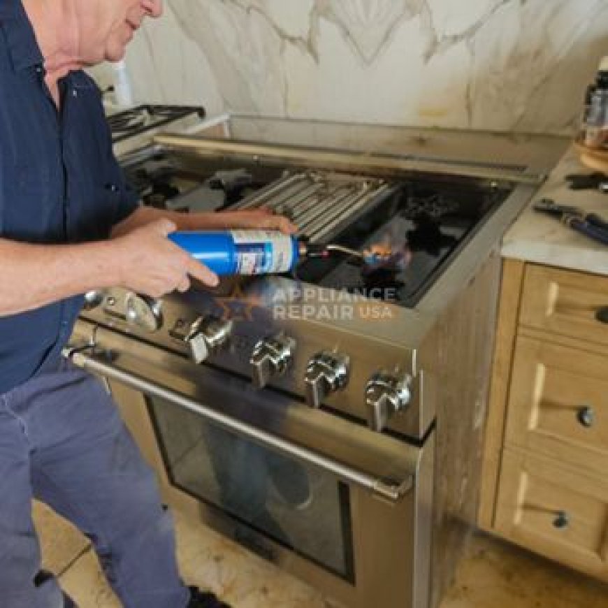 Squeaking or Grinding Dryer? How to Protect Your Laundry and Home