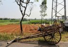 Healthy Food Distributors: Delivering Fresh, Nutritious Products Across India