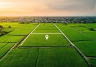 Guide to RERA Status of Upcoming Project in Uttarpara