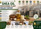 Shea Oil Processing Plant Report 2026: Setup Requirements, Operating Cost, and Market Potential