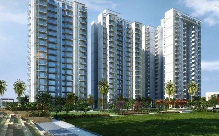 Godrej Noida Sector 151: Everything You Need to Know Before Buying