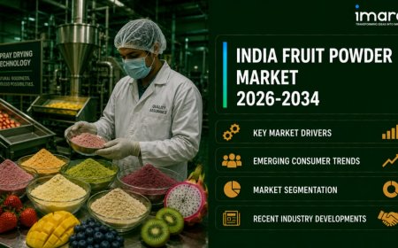 India Fruit Powder Market Size, Share, Industry Expansion and Analysis Report 2026-2034