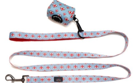 Bone Dog Tag, Dog Name Tag & Dog ID Tag: Small Accessories That Make a Big Difference