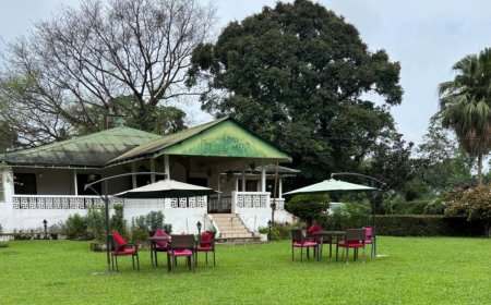 Nya Sylee Bungalow | Heritage Tea Garden Stay in Dooars