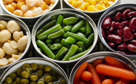 Canned Vegetables Manufacturing Plant Report 2026: Operating Cost, Capital Investment & Revenue Forecast