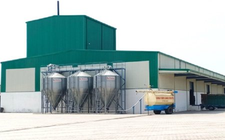 Poultry Feed Manufacturing Plant Feasibility Study 2026: Process Details, Revenue Insights and Comprehensive Cost Structure