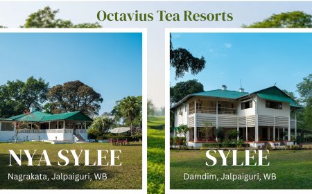 Tea Garden Resort: A Different Way to Experience West Bengal and the Dooars