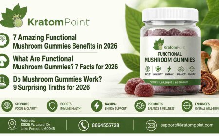 What Are Functional Mushroom Gummies? 7 Facts for 2026