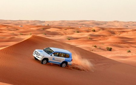 Desert Safari Dubai: What to Know Before You Book