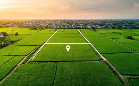 Guide to RERA Status of Upcoming Project in Uttarpara