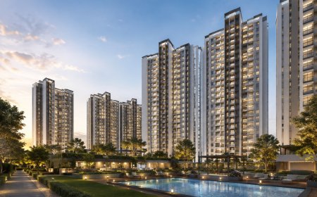 Smart Buyers Choose Rohan Ethos in Kankanady