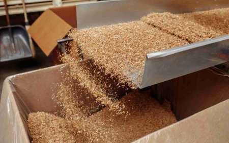 How to Setup a Tobacco Processing Plant in 2026: Revenue Potential, Industry Trends & Cost Analysis