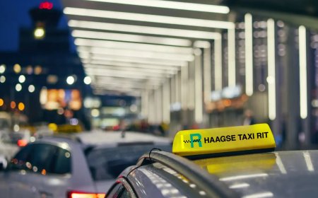 When Time Matters: Urgent Delivery and Reliable Hospital Transport in The Hague