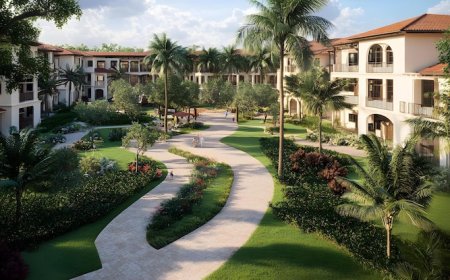 Discover the Guide of Living at New Launch Project in Faridabad