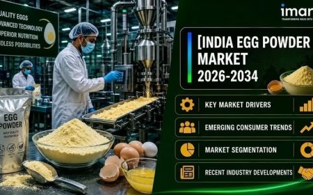 India Egg Powder Market Size, Share, Key Trends and Outlook Report 2026-2034