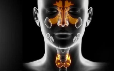 Modern Surgical Care in Dubai: Colorectal, Reflux and Thyroid Treatment