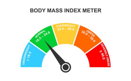 BMI Calculator: Calculate and Understand Your Body Mass Index