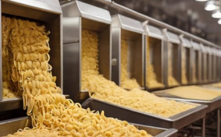How to Setup a Pasta Manufacturing Plant in 2026: Revenue Potential, Industry Trends & Cost Analysis