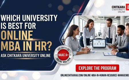 Which University Is Best for Online MBA in HR?