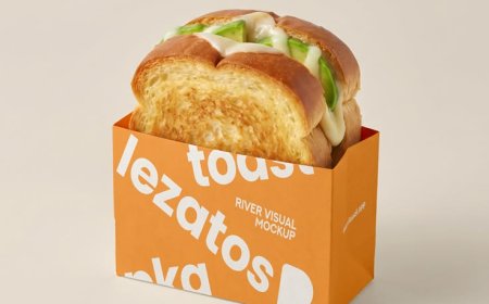 Custom Printed Toast Boxes: Fresh Packaging With a Strong Brand Identity