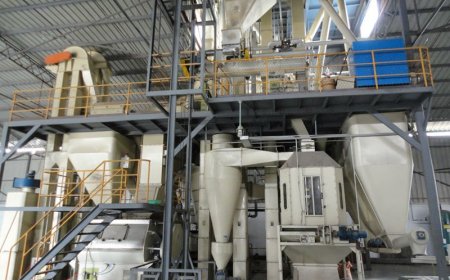 Poultry Feed Manufacturing Business Plan 2026: Site Selection, Raw Material Sourcing & ROI