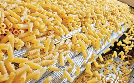 Pasta Manufacturing Plant Feasibility Study 2026: Liquidity Analysis, Profitability Analysis & Uncertainty Analysis