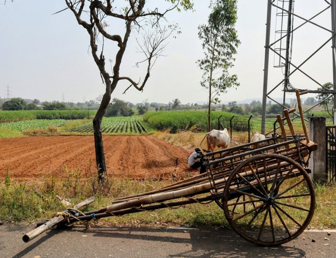 Healthy Food Distributors: Delivering Fresh, Nutritious Products Across India