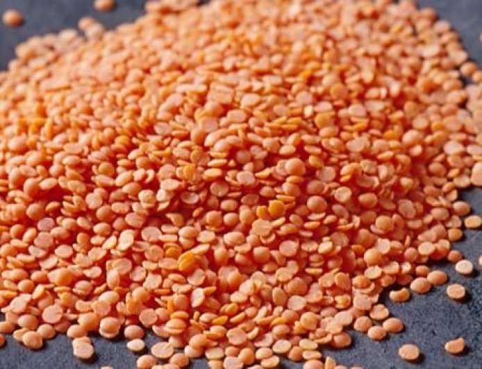 Setting Up a Lentil Processing Plant 2026: Machinery, Investment & Equipment Guide