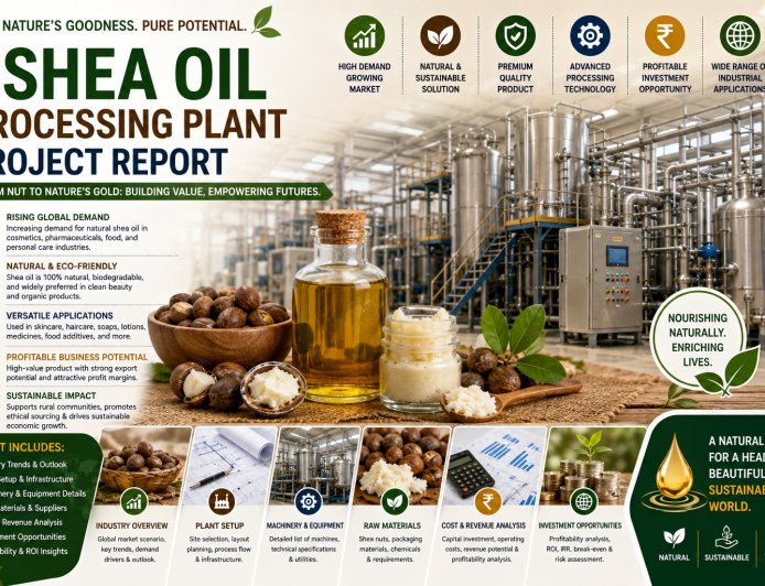Shea Oil Processing Plant Report 2026: Setup Requirements, Operating Cost, and Market Potential