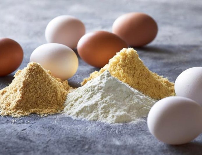 How to Setup a Egg Powder Manufacturing Plant in 2026: Revenue Potential, Industry Trends & Cost Analysis