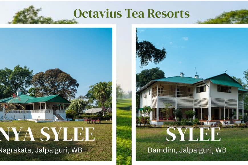Tea Garden Resort: A Different Way to Experience West Bengal and the Dooars